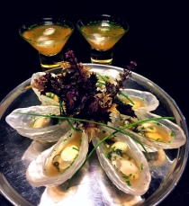 oyster shooters