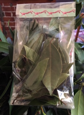 Courthouse bay leaves